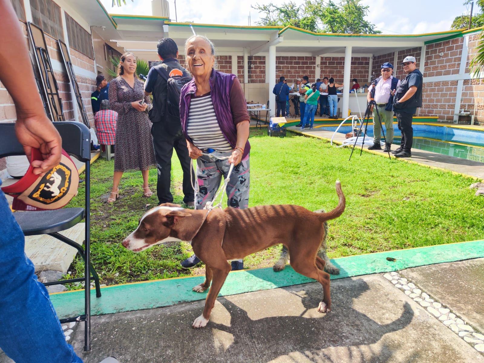 MÁS DE 50 MASCOTAS RECIBEN ESTERILIZACIÓN GRATUITA EN AMPLIACIÓN SUR GALEANA