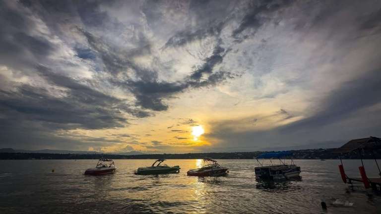 39f6cfc4-6328-4f41-8785-fc24109e6842