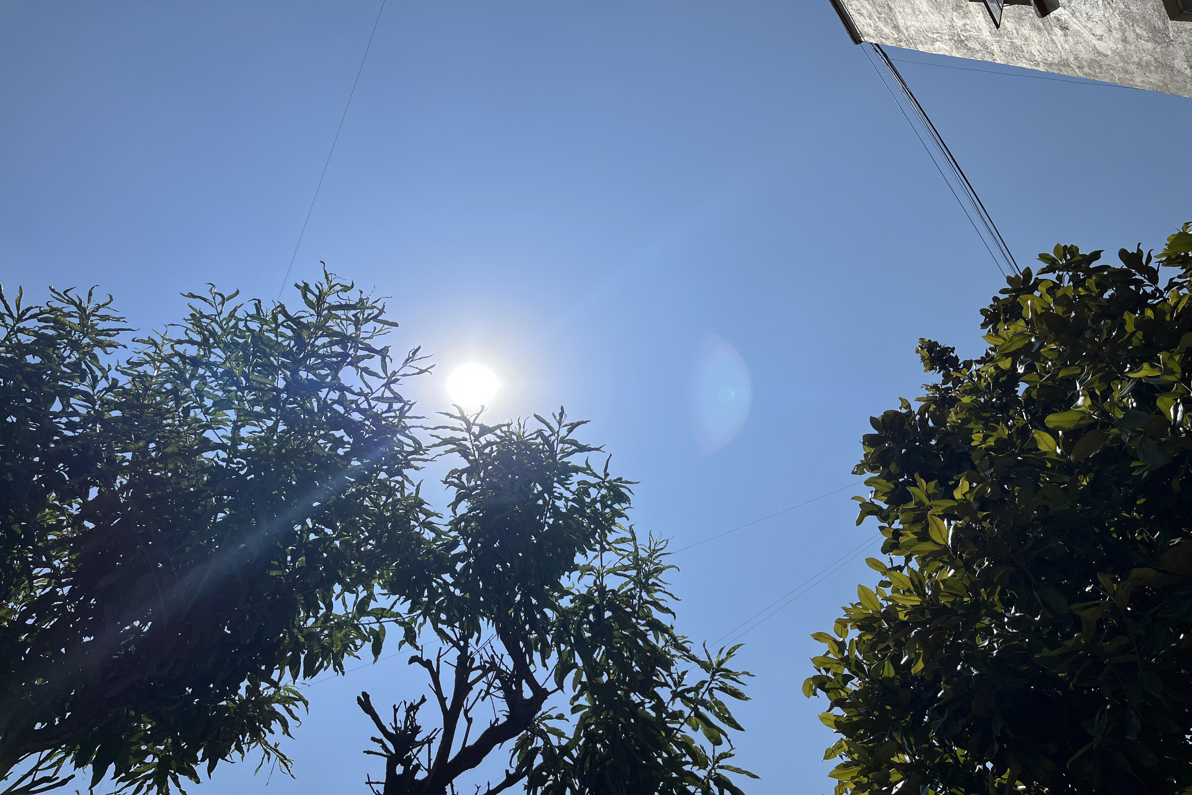 GOLPE DE CALOR, LA EMERGENCIA QUE PUEDE DAÑAR ÓRGANOS EN MINUTOS EN MÉXICO