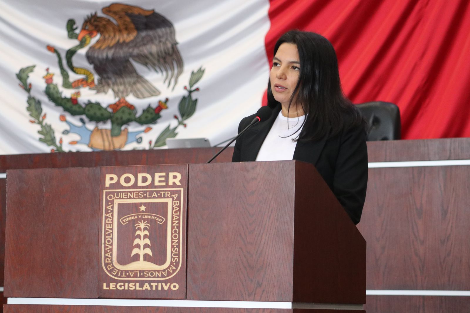 PROPONEN REGISTRO DE DEUDORES ALIMENTARIOS EN MORELOS