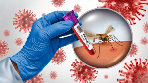 REPORTA MORELOS REDUCCIÓN DE 96% EN CASOS DE DENGUE