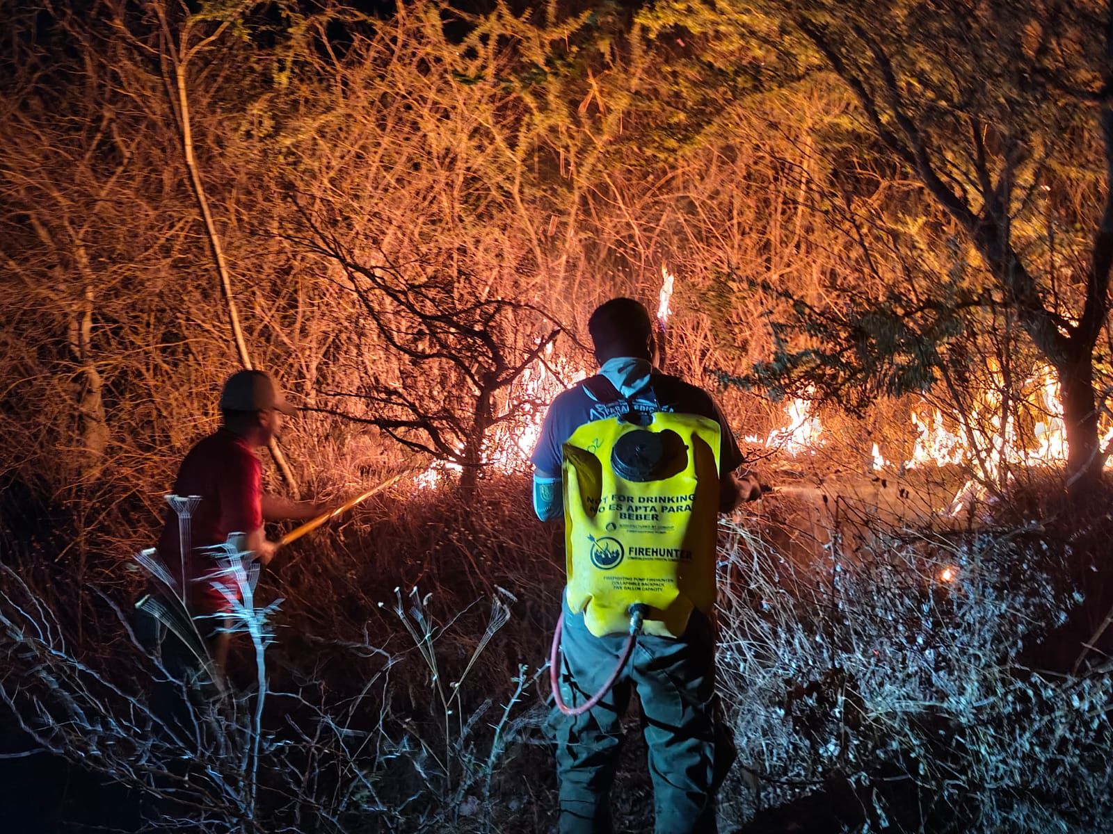 Liquidan incendio en la reserva Sierra Montenegro de Emiliano Zapata