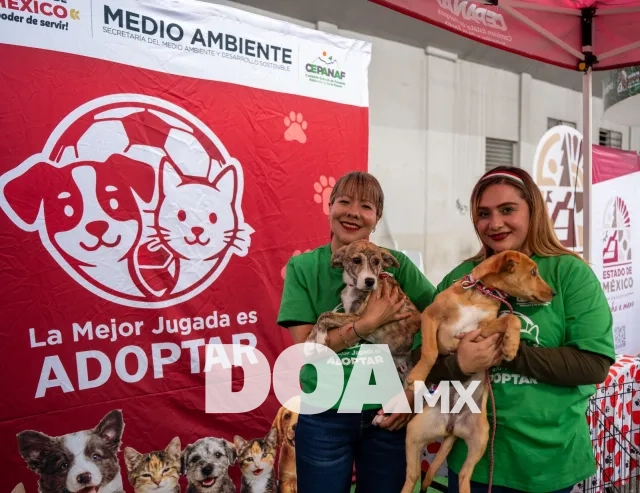 Mundial 2026 impulsa adopción de perros en Edomex; suman 13 hogares responsables