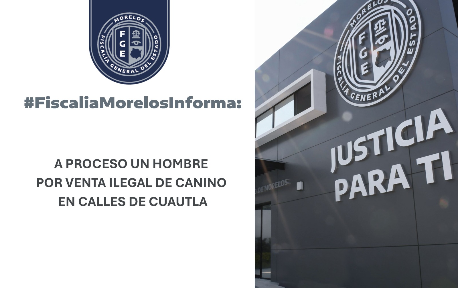Vendía un cachorro pomerania en la calle y terminó vinculado a proceso en Cuautla